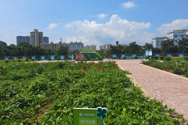 劳动教育实训基地